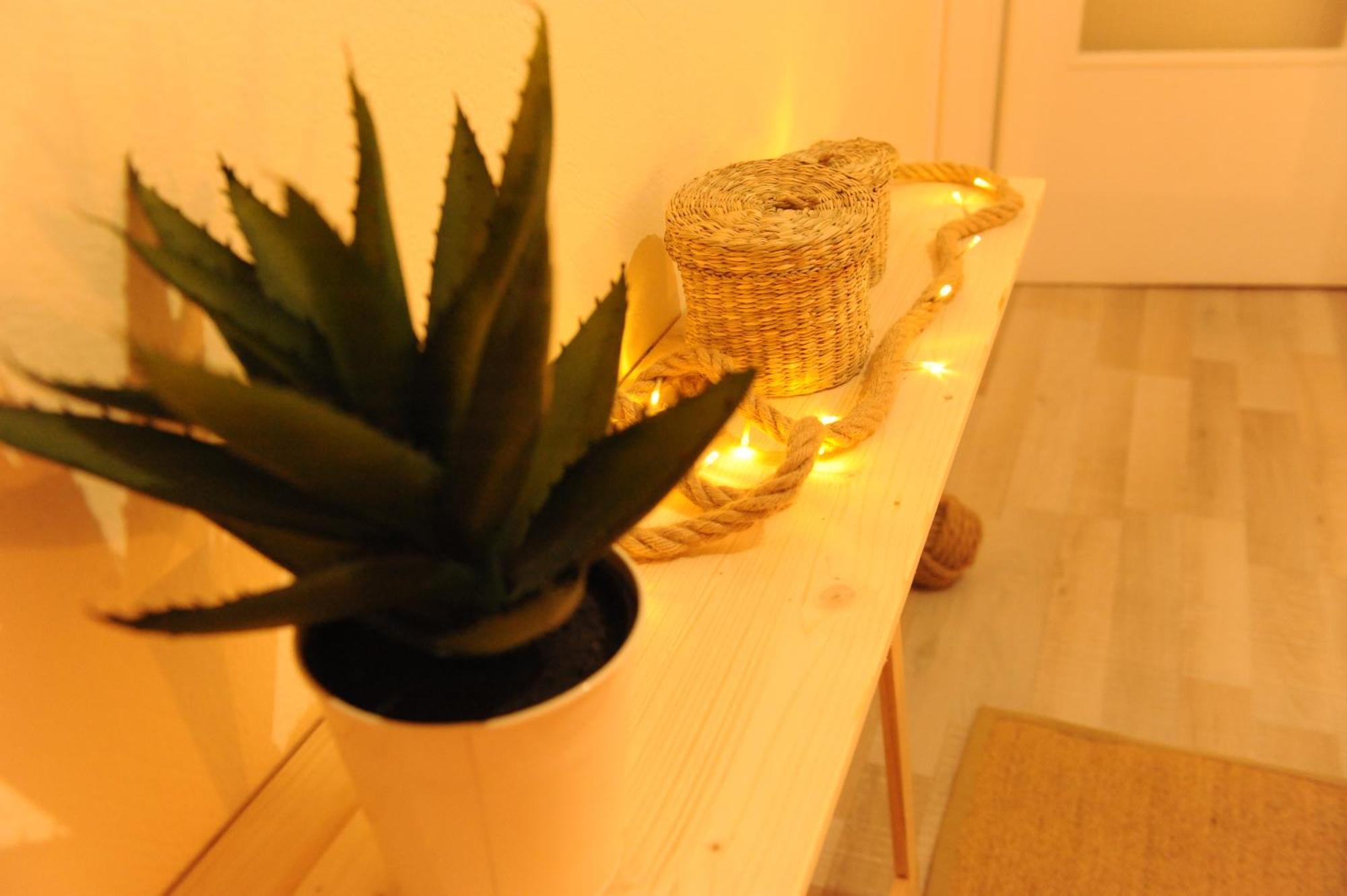 Delphic Moments - Sunny App 3Br, 2Ba With View 아파트 외부 사진